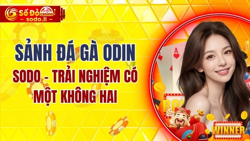 sảnh đá gà ODIN