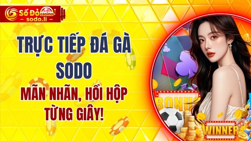 trực tiếp đá gà SODO